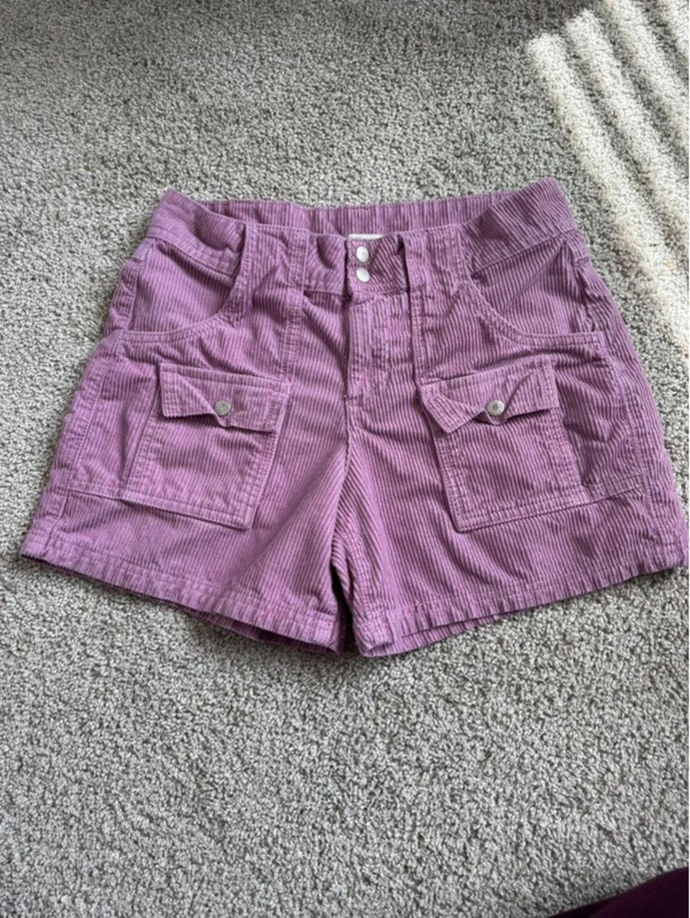BDG Urban Outfitters Shorts
